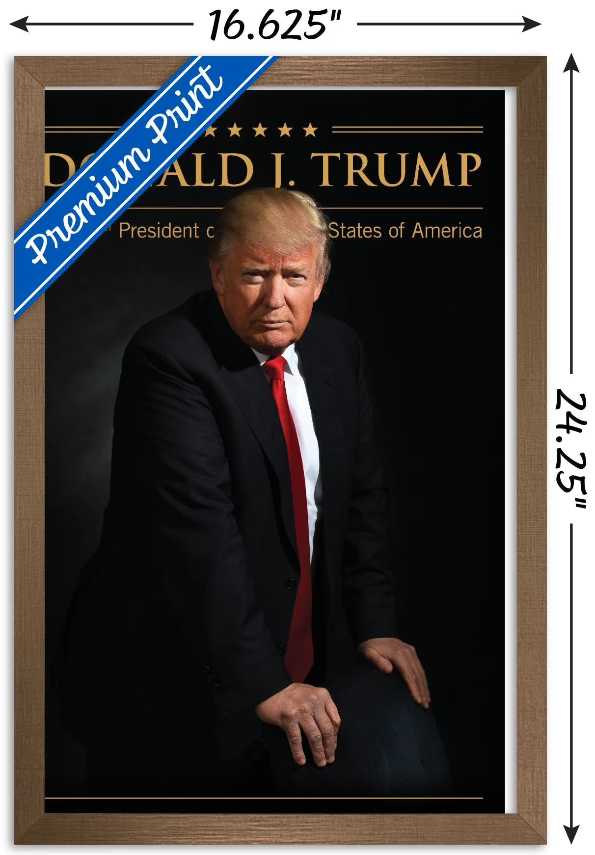 President Donald Trump Wall Poster 16.5" X 24.25" X .75" Bronze Framed Version