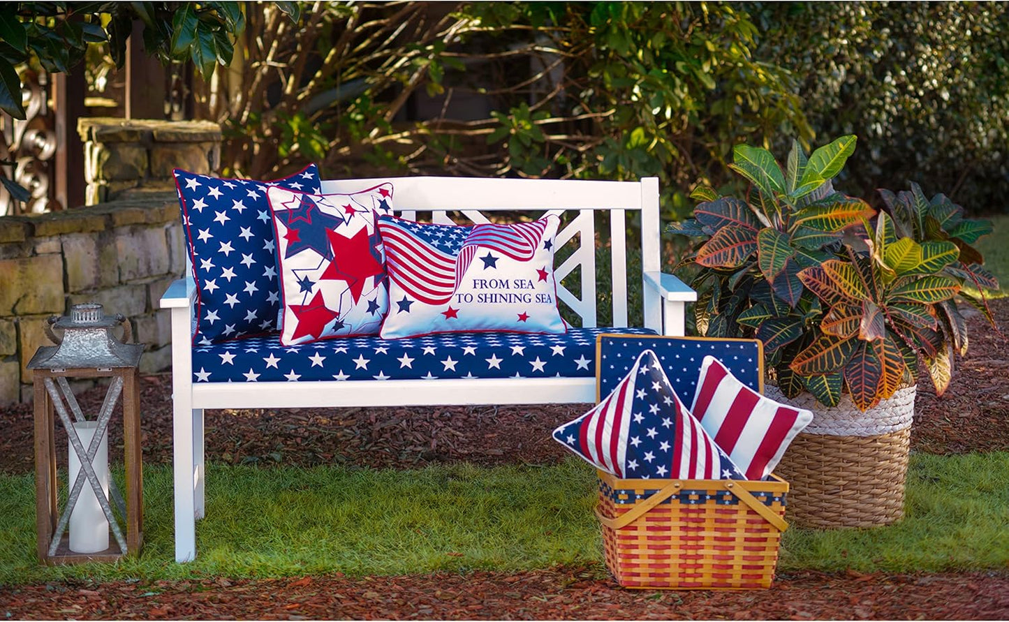 Americana Indoor/Outdoor Throw Pillows, 2 Count, Accent - 16.5" X 16.5", Blue/White Macey