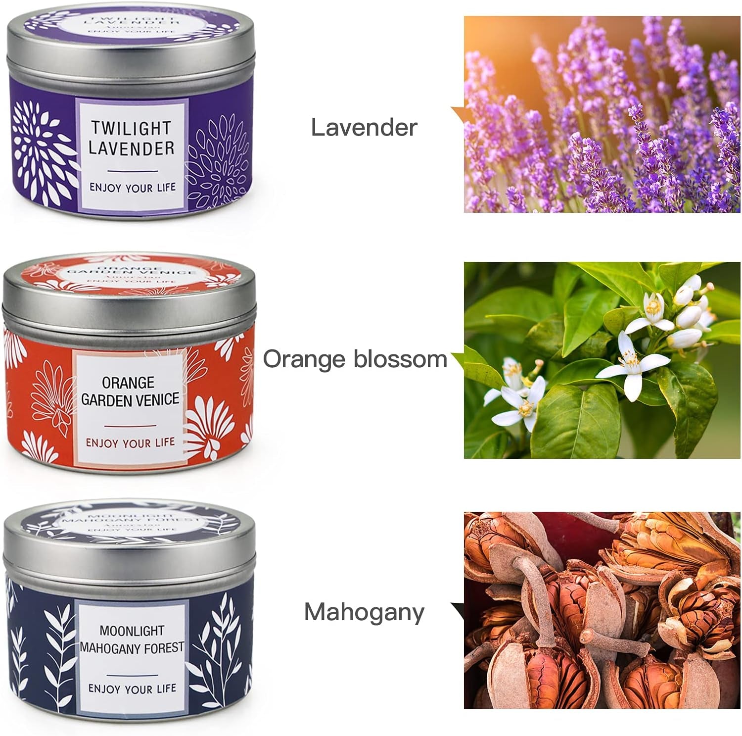 Scented Candle Gift Set for Women, 3 Pack Large Soy Wax Candles in Tins, 6.2 Oz Each, 35-40 Hr Burn, Lavender, Orange Blossom & Mahogany Woods