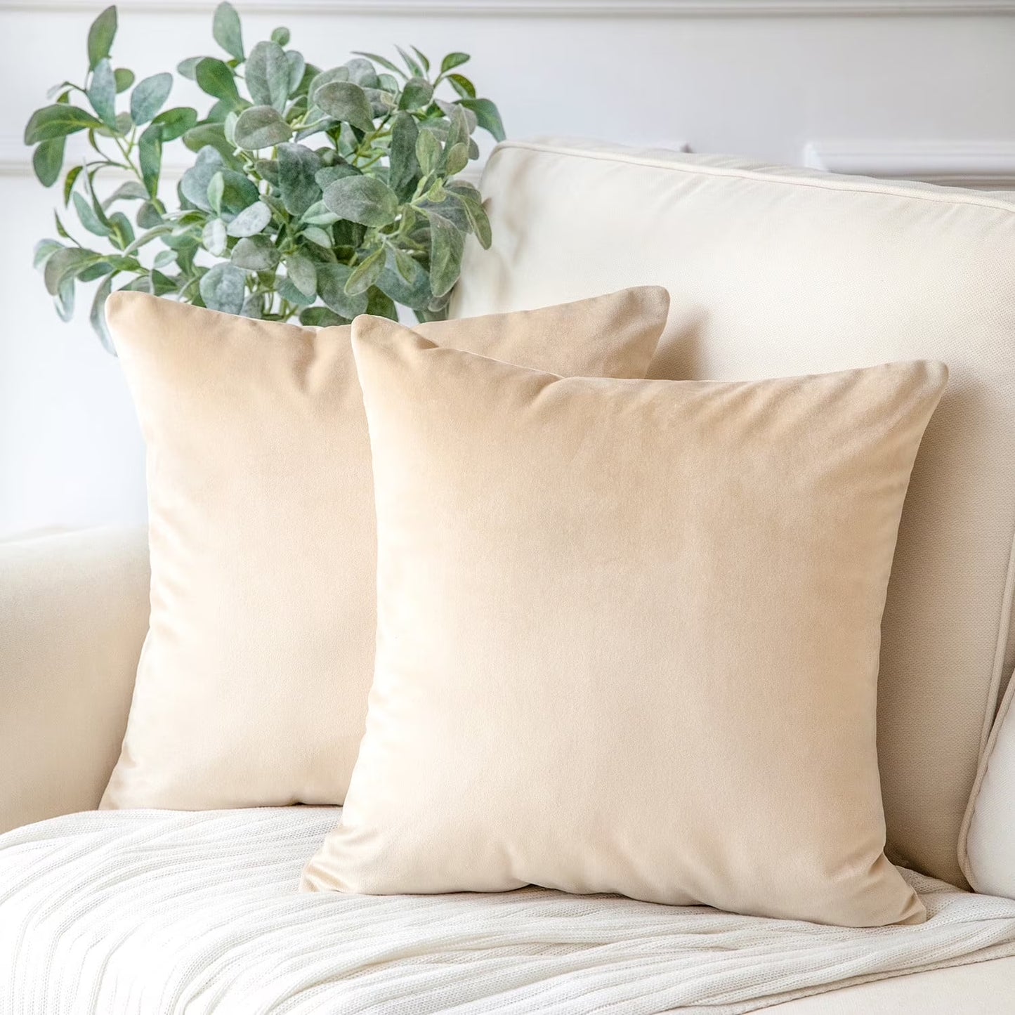 Soft Solid Square Velvet Decorative Throw Pillow Cover for Couch and Sofa, 18" X 18", Beige, 2 Pack