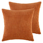 18" X 18" Transitional Medium Red Striped Polyester Blend Throw Pillow , ( 2 Count)
