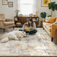 8'X10' Washable Area Rugs for Living Room, Modern Abstract Printed Carpet, Non Slip Indoor Rug for Bedroom Home Decor Carpets, Grey Gold