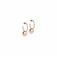 Layered Discs Drop Earrings