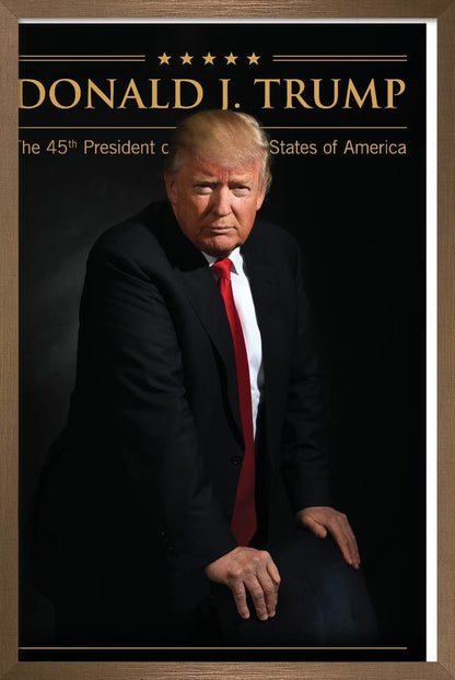 President Donald Trump Wall Poster 16.5" X 24.25" X .75" Bronze Framed Version