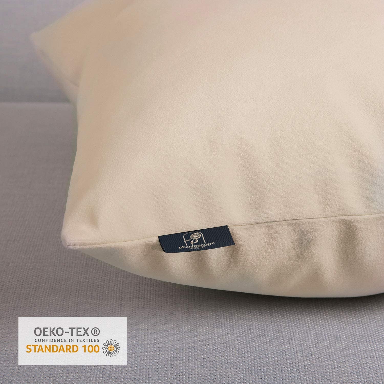 Soft Solid Square Velvet Decorative Throw Pillow Cover for Couch and Sofa, 18" X 18", Beige, 2 Pack