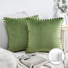 Throw Pillow with Insert，Silky Velvet Series Pom Pom Decorative Pillow, 20" X 20", Green, 2 Pack