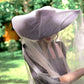 Lola Wide Brim Jute Straw Hat, in Black